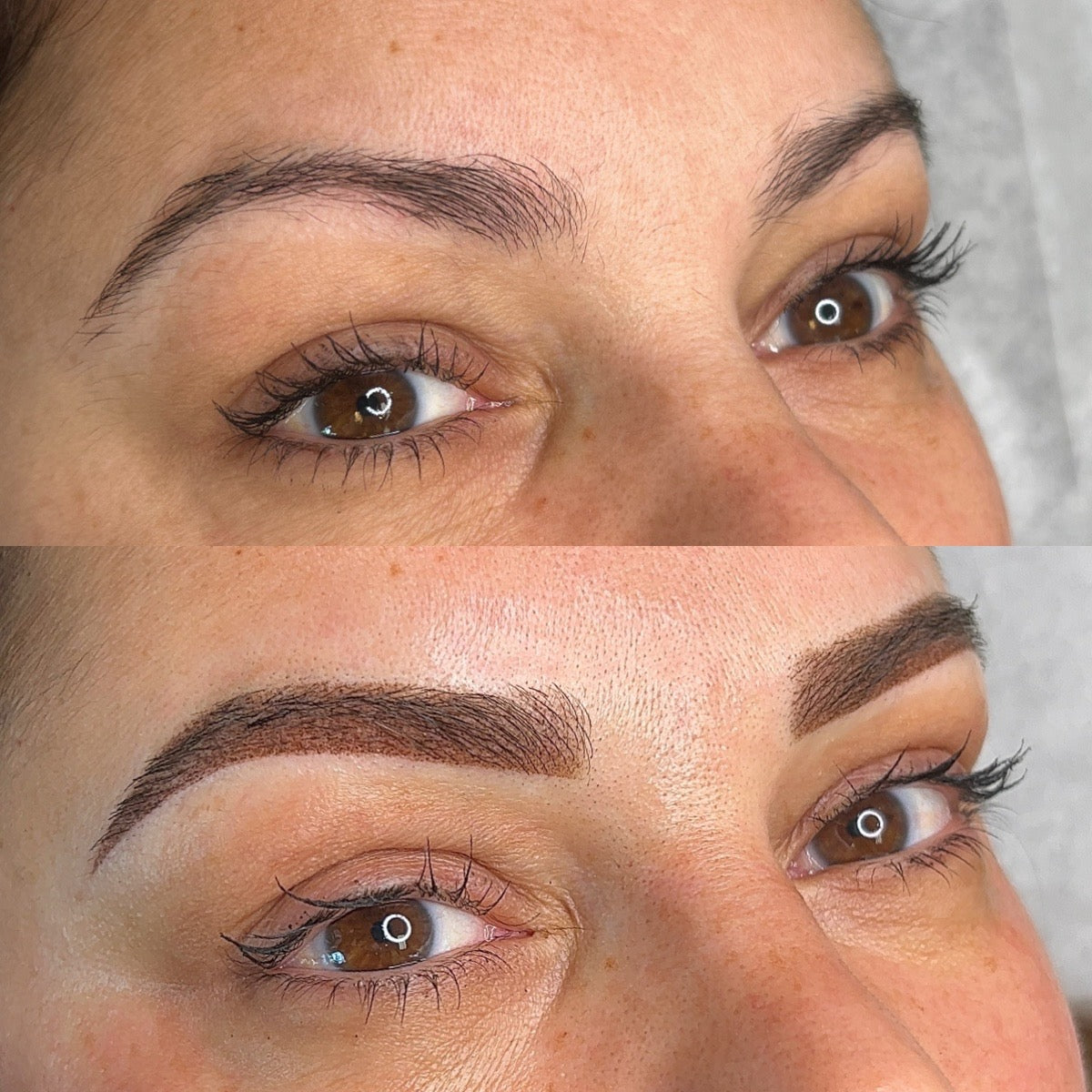 Clase de cejas en polvo